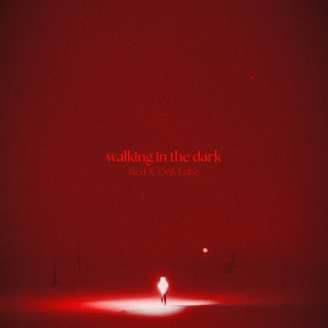 walking in the dark