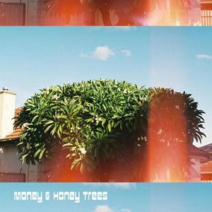 Money & Honey Trees (feat. Tom)