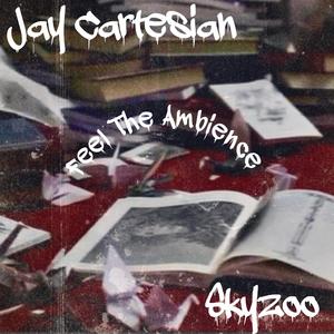 Feel The Ambience (feat. Skyzoo)