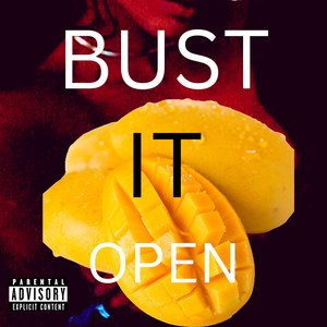Bust It Open (Explicit)