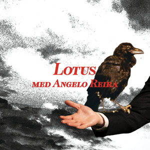 Lotus (Explicit)