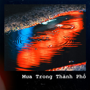 Mưa Trong Thành Phố