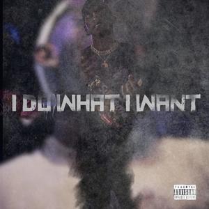 I Do What I Want (Explicit)