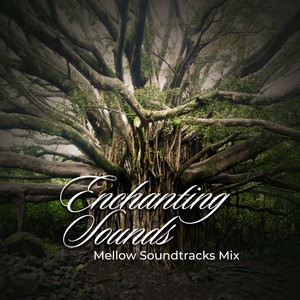 Enchanting Sounds: Mellow Soundtracks Mix