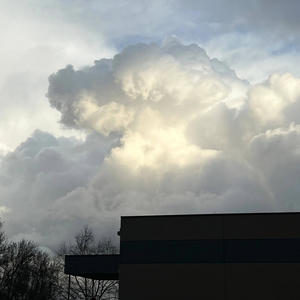 where does the time go