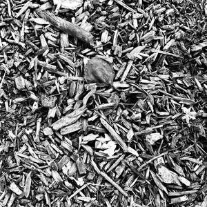 Paper Plane (Acoustic Version)