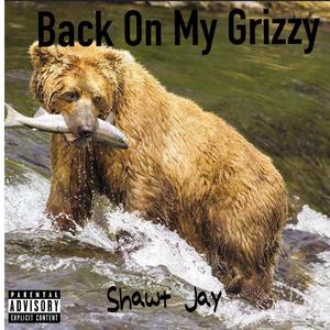 Back On My Grizzy (Explicit)