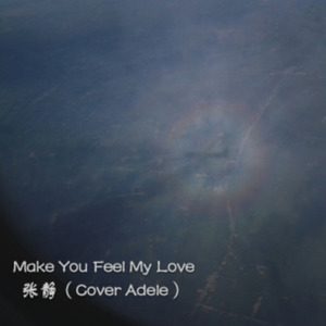 Make You Feel My Love (cover.Adele)