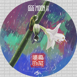 朦胧的花封面