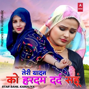 तेरी यादन को हरदम दर्द सहूं