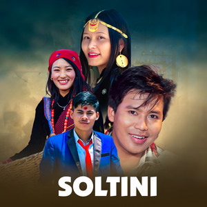 Soltini