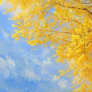 小小徐 - 一路有雨也有霜