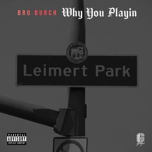 Why You Playin (feat. Bro Burch) (Explicit)