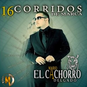 16 Corridos de Marca