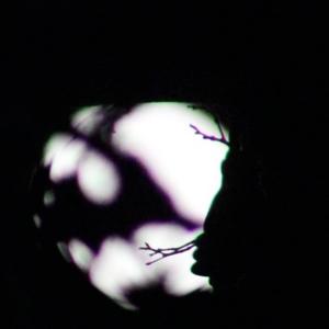 Husband (feat. John Creasy) (Explicit)