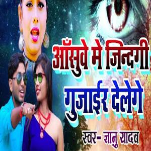 Aasuwe Mein Zindagi Gujair Delege