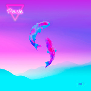 Nossa Sr Desaparecida.