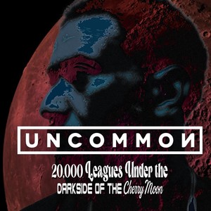 The Amazing Turbo Dog - The Georgia Fair (feat. Steven Thompson Sr., Neal Lucas, Evan Collins, Wyndhem Bell Ennaemba, Miguel Juarez & Will Darville)