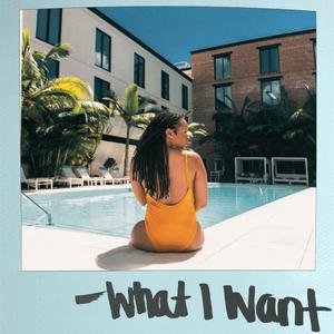 What I Want (feat. WhoCamille) [Remix] [Explicit]