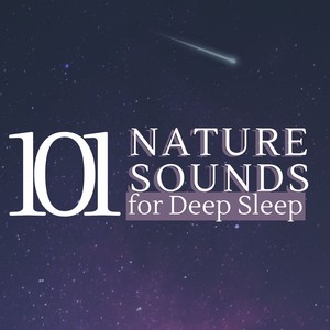 101 Nature Sounds for Deep Sleep: Healing Ambient Green Relaxation