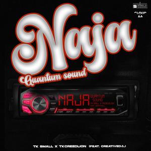 Naja (feat. Tkcreedlion & creativedj_)