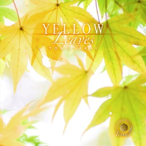 Yellow Leaves