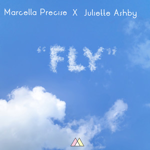 FLY (Instrumental)