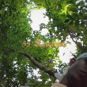 friendships 2 (feat. HeyyitsMellow, Icy toolow & NRG Komodo)