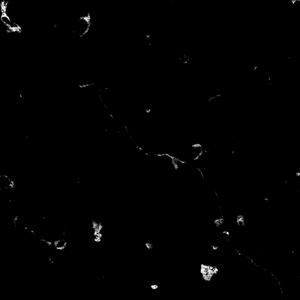 LOUD PACK (Explicit)