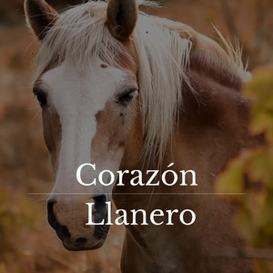 Corazón Llanero