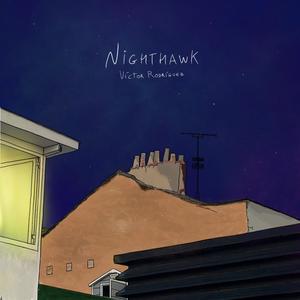 Nighthawk