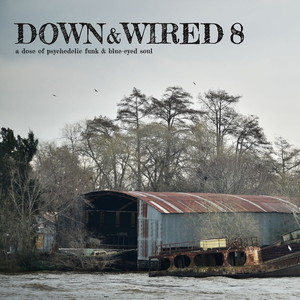 Down & Wired 8