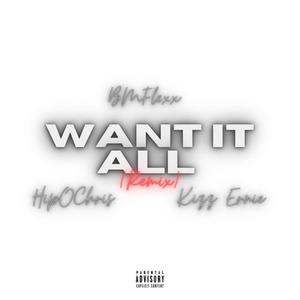 Want it All(feat. HipOChris & Kizz Ernie) (Remix)