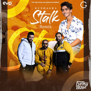 Stalk (Remix)