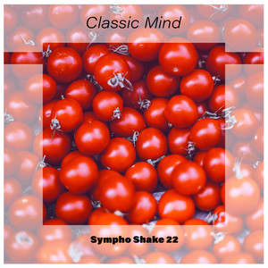 Classic Mind Sympho Shake 22