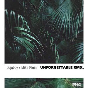 Unforgettable (Remix)