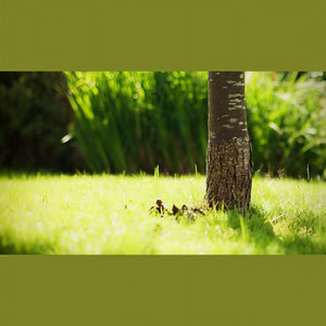 人世 男低音 专辑19