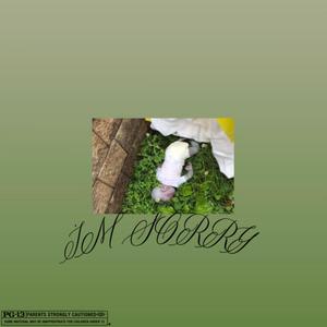 I'M SORRY (Explicit)