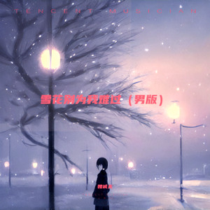 雪花别为我难过-魏诚夫
