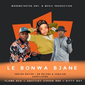 Le bonwa bjane (feat. Emelda Nation, Dr Maloba, Kitty Boy, Flame Rsa & Abuttiey Vipper Rbp)