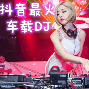 CV君言君与 - 无人懂我心中伤 (车载DJ串烧热歌版)