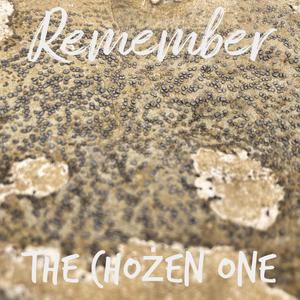 Remember(feat. Dsoul & Milla Mane) (Explicit)