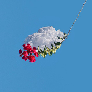 De piquito en piquito