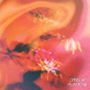 WTTTA (feat. LAELANONYMOUS)