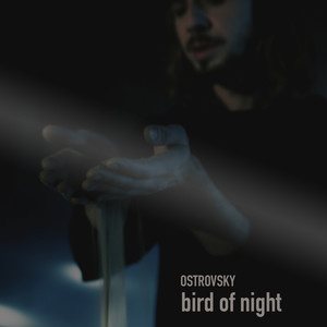 Bird of Night