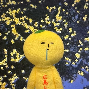 半夜三更过天桥 从来不敢回头看