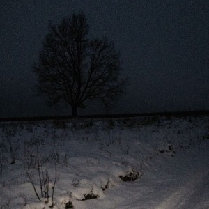 Under the Strings of the Guitar Memories