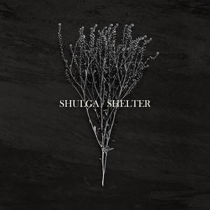 Shelter