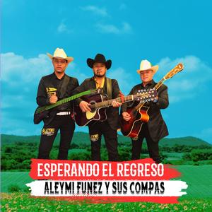 Esperando el regreso