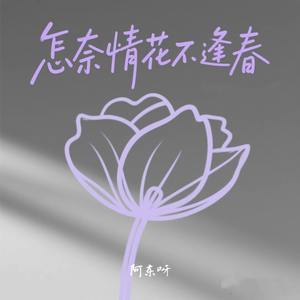 怎奈情花不逢春